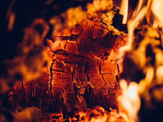 烤肉培训：炭的养护🔥🪵