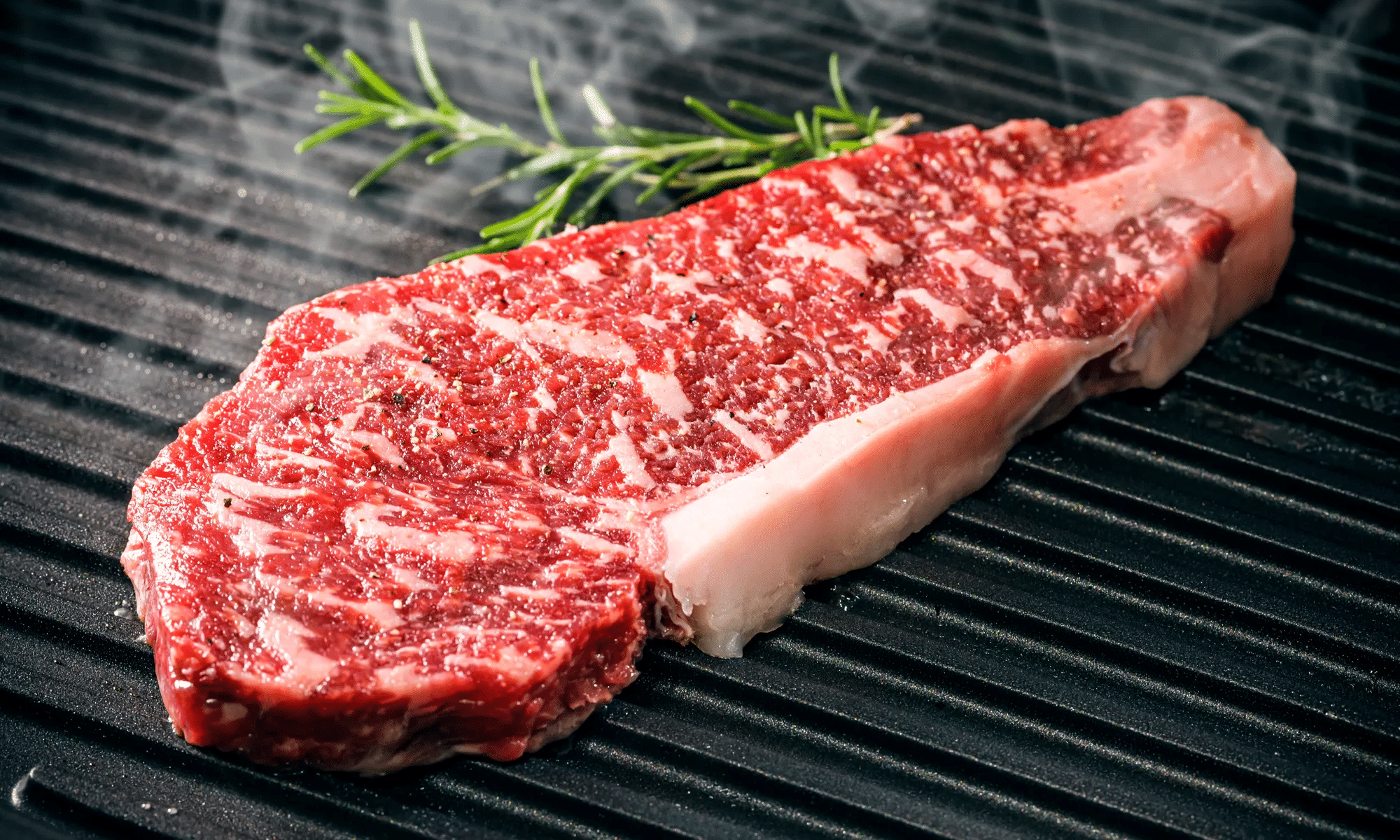 玉子烤肉培训：安格斯牛介绍