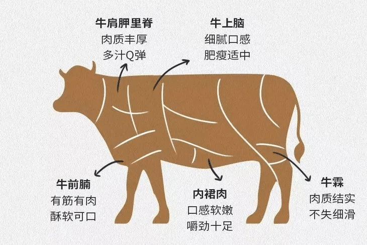 烤肉培训：牛肩胛部位介绍与烤肉出品，为什么它是烧肉店的高性价比明星？
